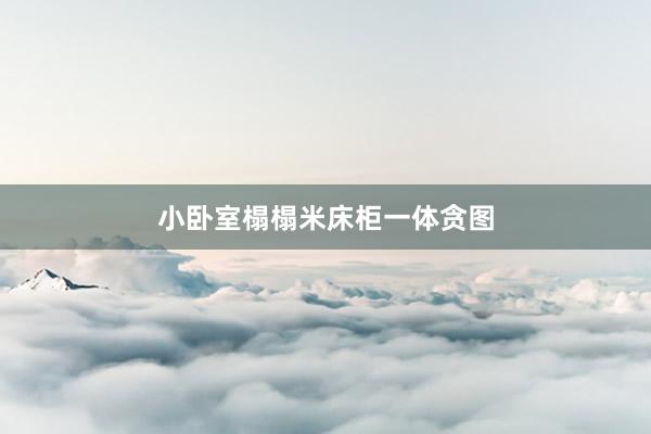 小卧室榻榻米床柜一体贪图