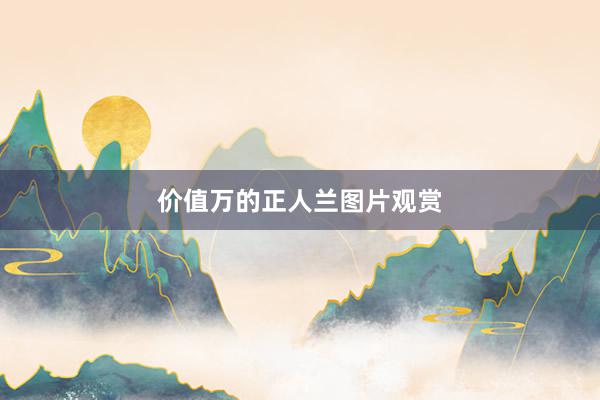 价值万的正人兰图片观赏