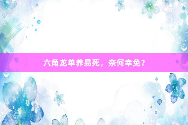 六角龙单养易死，奈何幸免？