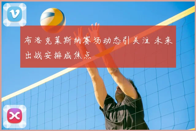 布洛克莱斯纳赛场动态引关注 未来出战安排成焦点